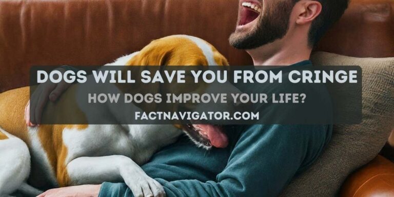 Dog Will Save You From Cringe | How Dogs Improve Your Life?