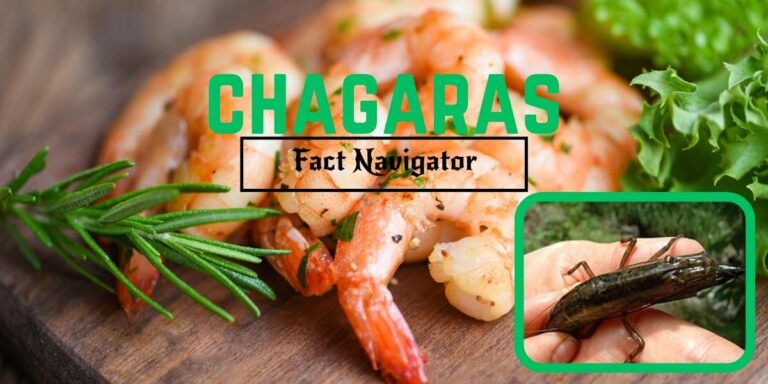 Chagaras: Puerto Rico’s Freshwater Shrimp Delicacy