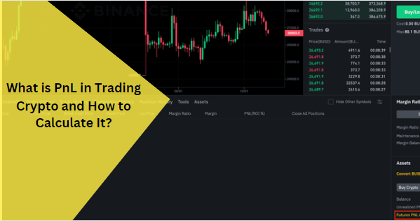What is PnL in Trading Crypto and How to Calculate It?